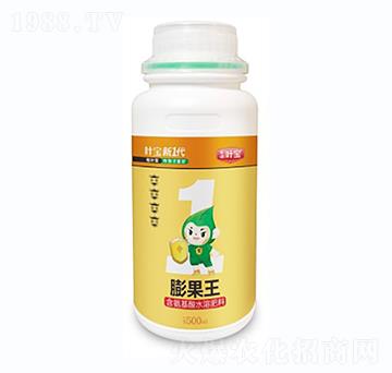 膨果王-寶葉植物