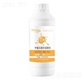 ���w��һԪ�ط�-���w�V-������