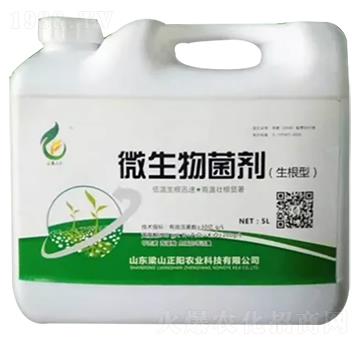 生根型微生物菌劑-正陽農業(yè)