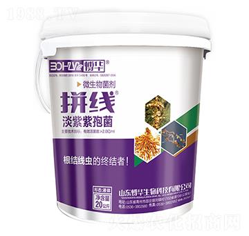 2億微生物菌劑-根朗-韓農(nóng)