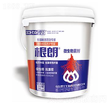 微生物菌劑-根朗-韓農(nóng)