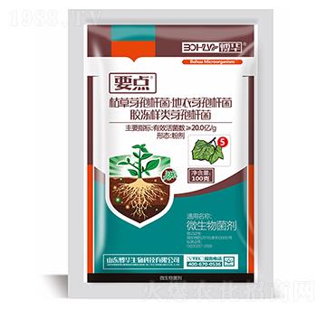 20.0億每克枯草芽孢桿菌粉劑-要點(diǎn)5號(hào)-韓農(nóng)