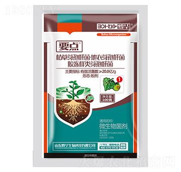 20.0億每克枯草芽孢桿菌粉劑-要點1號-韓農(nóng)