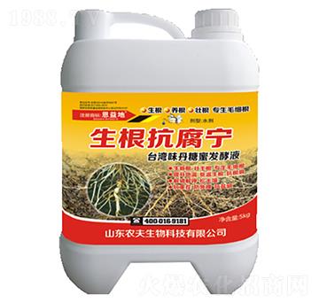 ����������-�r��