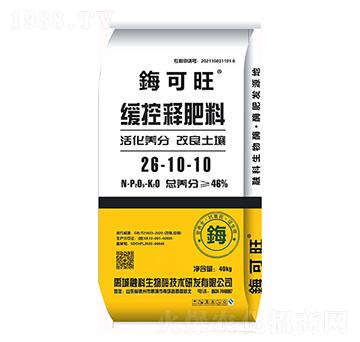 ����ጷ���26-10-10-�Y����-�ڿ�