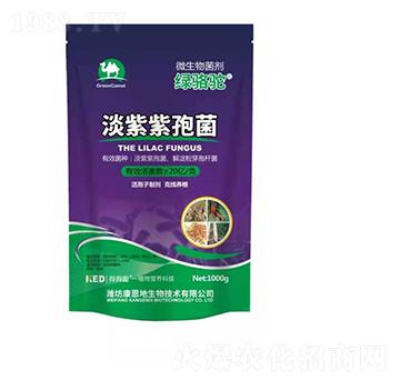 淡紫紫孢菌-綠駱駝-康恩地