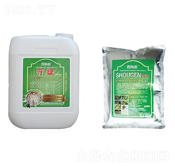 守綠、守根-得海龍-康恩地