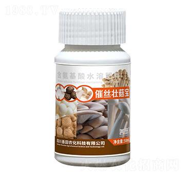 催絲壯菇寶-善田