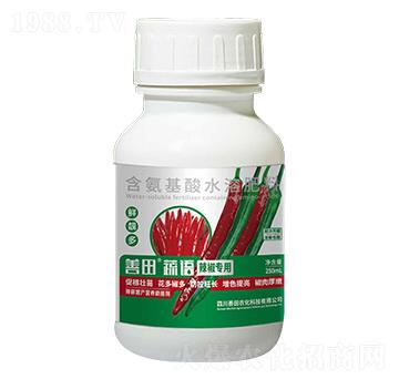 辣椒專(zhuān)用含氨基酸水溶肥料-善田蔬語(yǔ)-善田