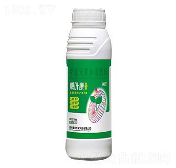 中量元素水溶肥料-靚葉康-善田
