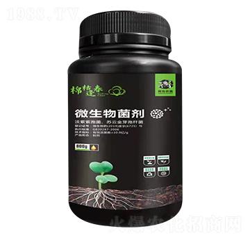 微生物菌劑-棉枯逢春-農(nóng)喜生物