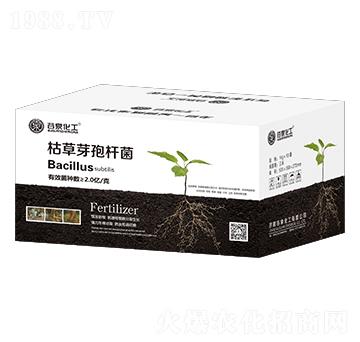 枯草芽孢桿菌-谷泉化工