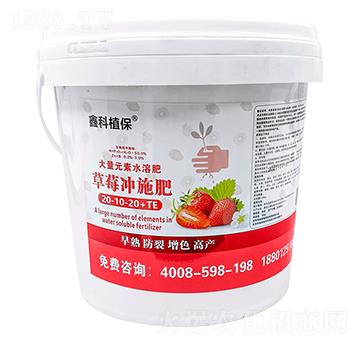 草莓沖施肥20-10-20+TE-鑫科植保