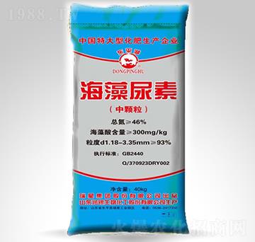 40kg��������-�|ƽ��-����