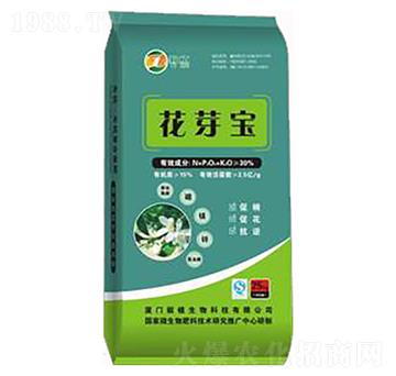 ��ѿ��-��ֲ