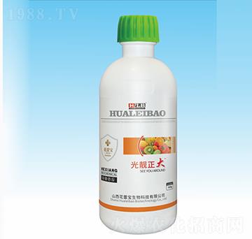 ���n����-���ٌ�����