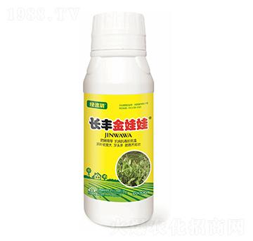 長豐金娃娃（抗病毒）-綠速葳-長豐化工