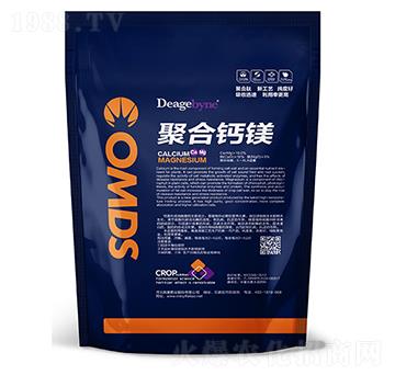 �ۺ��}�V-����ʘI(y��)