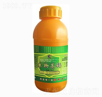 500ml������}-ɽ���¿�