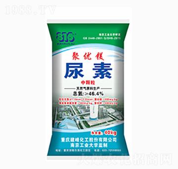 �ۃ�(y��u)������-����