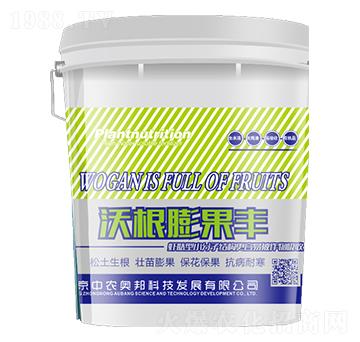 沃根膨果豐-中農(nóng)奧邦