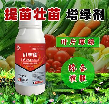 提苗壯苗增綠劑-葉豐佳-中農(nóng)弘露