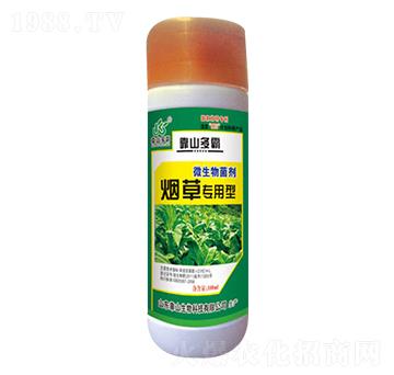 ���݌�����΢�������-��ɽ����