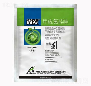 55%���������-����-������