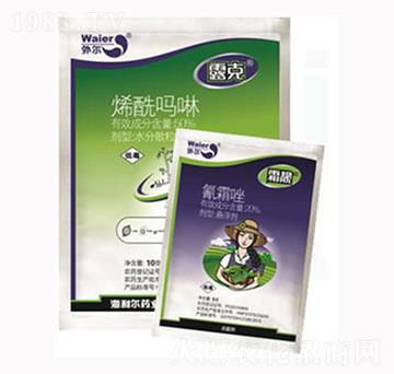 ϩ������+��˪��-˪�n�M��-������