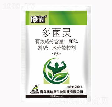 80%����`-�v�n-������