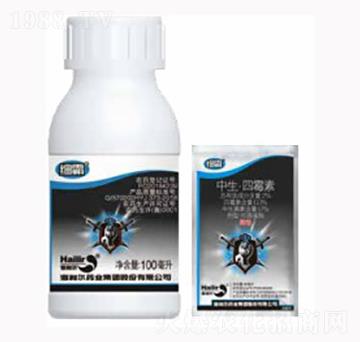 ����-������