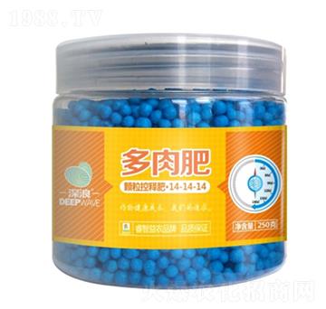 多肉型顆?？蒯尫?睿智益農(nóng)