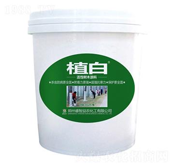 20公斤植白活性樹木涂料-睿智益農(nóng)