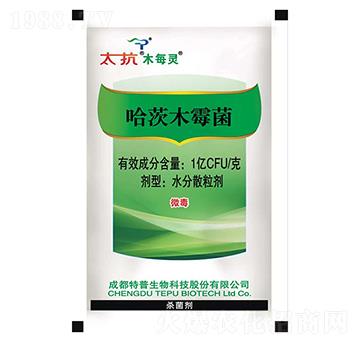 ����ľù��ˮ��ɢ����-̫��ľÿ�`-��������