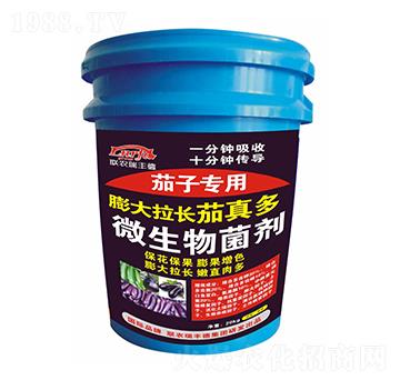 茄子專用膨大拉長(zhǎng)茄真多-聯(lián)農(nóng)瑞豐德