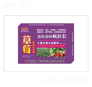 大量元素水溶肥-草莓專用-苗壯苗旺瘋狂長-瑞豐德