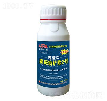 微生物菌肥-純進(jìn)口黑斑病鏟除2號(hào)-瑞豐德