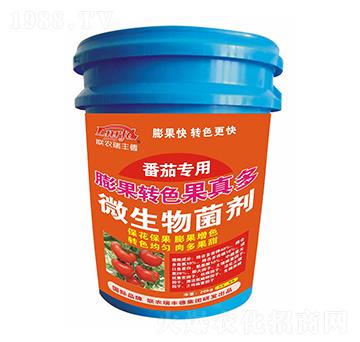 微生物菌劑-膨果轉色果真多-番茄專用-瑞豐德