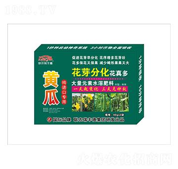 大量元素水溶肥-黃瓜純進(jìn)口專用-花芽分化花真多-瑞豐德
