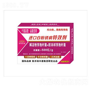 微生物肥-進口白粉銹病高效劑-瑞豐德