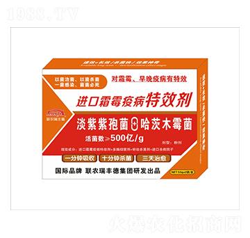 微生物肥-進口霜霉疫病奇效劑-瑞豐德