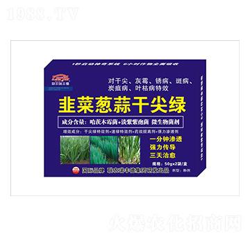 微生物肥-韭菜蔥蒜干尖綠-瑞豐德