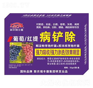 微生物肥-葡萄紅提病鏟除-瑞豐德