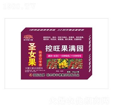 大量元素水溶肥-圣女果純進(jìn)口專用-控旺果滿園-瑞豐德