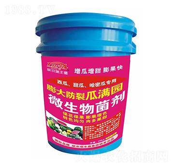 微生物菌劑-西瓜甜瓜哈密瓜專用-膨大防裂瓜滿園-瑞豐德