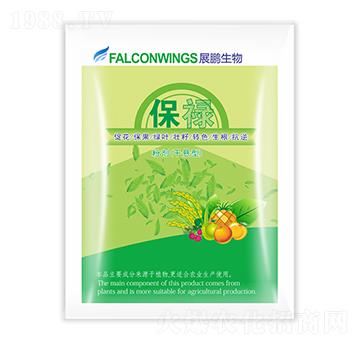 ����-չ�i����