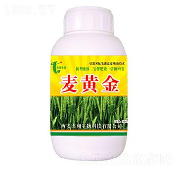 麥黃金-杰翔生物