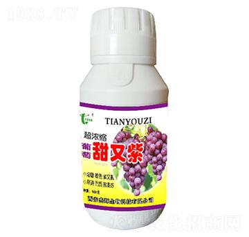 葡萄甜又紫-杰翔生物