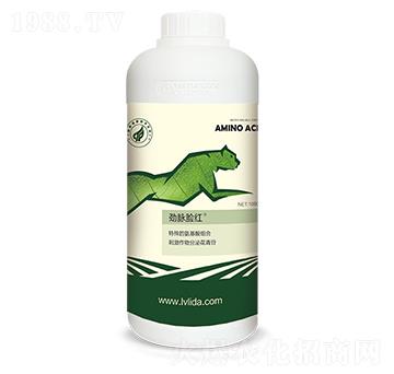 天然萃取果實(shí)快速增色劑-勁脈臉紅-勁脈