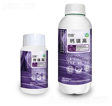 鈣鎂高（瓶）-勁脈